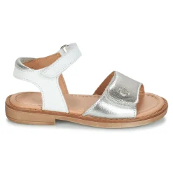 Aster - TRIXY Argenté Discount
