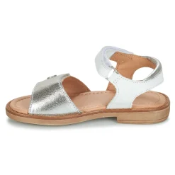 Aster - TRIXY Argenté Discount