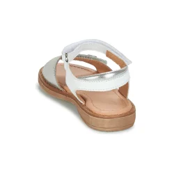 Aster - TRIXY Argenté Discount