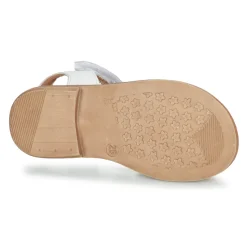 Aster - TRIXY Argenté Discount