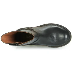 Aster - WALI Noir New