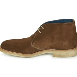Barker - CONNER< Bottines / Boots