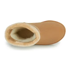 Be Only Bottes^- COSY