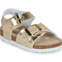 BEPPI - 2203940-DOURADO Doré Best