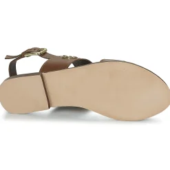 Betty London - IKIMI Marron New