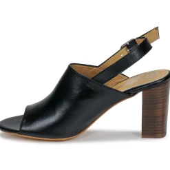 Betty London Sandales Et Nu-pieds^- JIKOTEGE