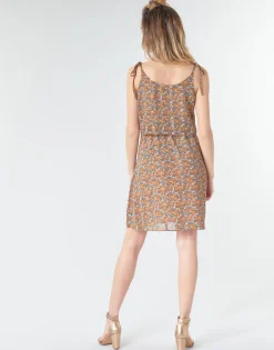 Betty London - MINDI Multicolor Online