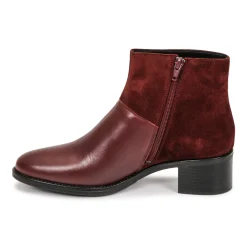 Betty London - PANDINA< Bottines / Boots