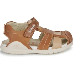 Biomecanics - 232258 Cognac Discount
