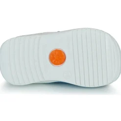 Biomecanics - BIAGETO CANVAS Online