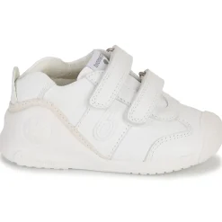 Biomecanics Baskets Mode^- BIOGATEO SPORT