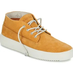 Blackstone - BG148< Baskets Mode