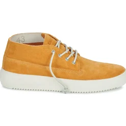 Blackstone - BG148< Baskets Mode