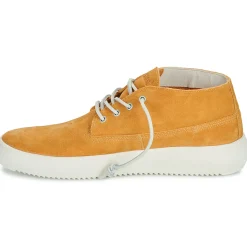 Blackstone - BG148< Baskets Mode