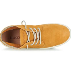 Blackstone - BG148< Baskets Mode