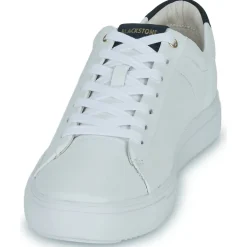 Blackstone - RM50< Baskets Mode