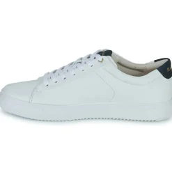 Blackstone - RM50< Baskets Mode