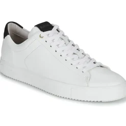 Blackstone - RM50 Online