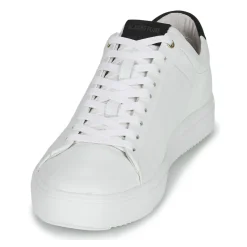 Blackstone - RM50 Online