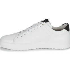 Blackstone - RM50 Online