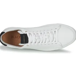 Blackstone - RM50 Online