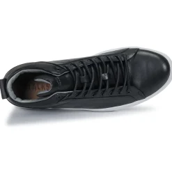 Blackstone - SG29 Noir Sale