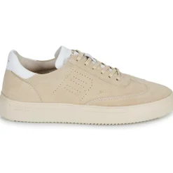 Blackstone - SLATE HARPER< Baskets Mode