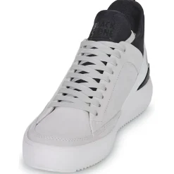 Blackstone Baskets Mode^- XG88