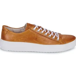 Blackstone - ZG18 Camel