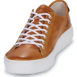 Blackstone - ZG18 Camel