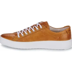 Blackstone - ZG18 Camel