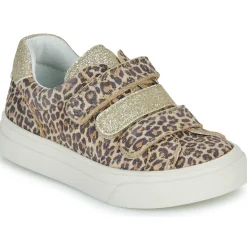 Bopy Baskets Mode^- SIMBAD