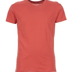 BOTD T-shirts & Polos^- ECALORA