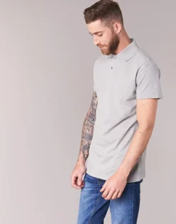 BOTD - EPOLARO Gris Sale