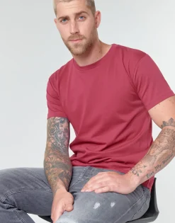BOTD T-shirts & Polos^- MATILDO