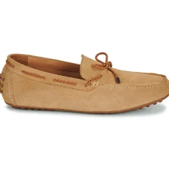 Brett & Sons Mocassins & Chaussures Bateau^- 4389-VEL-BEGE-