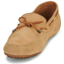 Brett & Sons Mocassins & Chaussures Bateau^- 4389-VEL-BEGE-