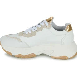 Bronx - BAISLEY Beige Best