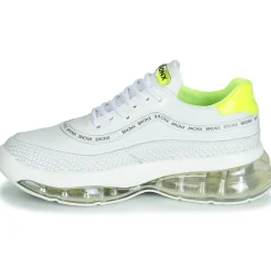 Bronx Baskets Mode^- BUBBLY