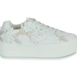 Buffalo Baskets Mode^- PAIRED BUTTERFLY