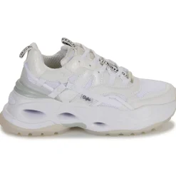 Buffalo Baskets Mode^- TRIPLET HOLLOW