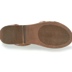 Bullboxer - ALM013F1S-ROGO Rose