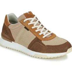 Bullboxer - DEAN CUP LOW M Marron Best