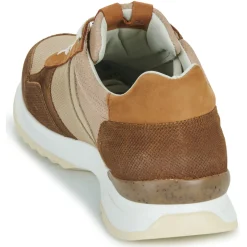 Bullboxer - DEAN CUP LOW M Marron Best