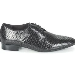 Café Noir Bottines / Boots^- BARNARD