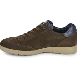 CallagHan Baskets Mode^- AMANCI LUXE