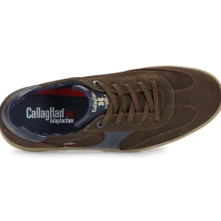 CallagHan Baskets Mode^- AMANCI LUXE