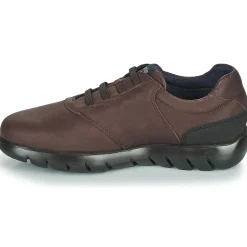 CallagHan - PLUVIAM Marron Best