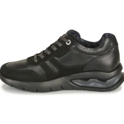CallagHan Baskets Mode^- VENTO
