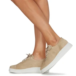 Camper - RUNNER UP< Baskets Mode
